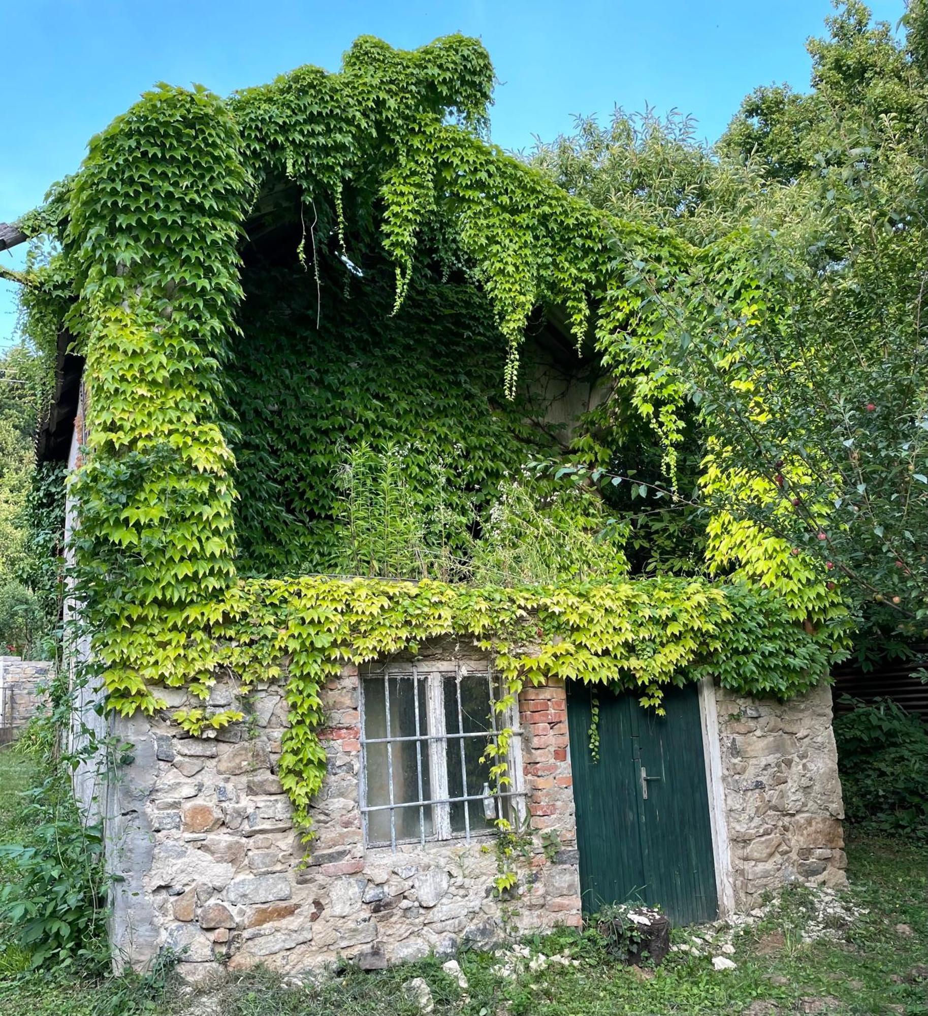 Appartement Stupa-Rezi-Tatika-Haz à Zalaszanto Extérieur photo